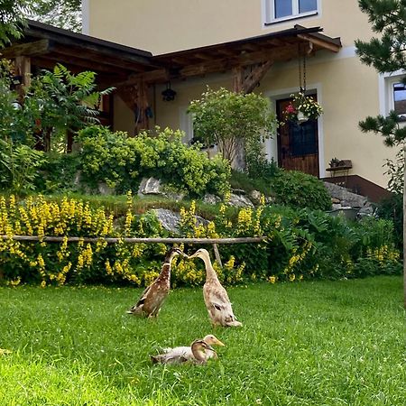 Appartement Heissgut à Altenmarkt im Pongau Extérieur photo