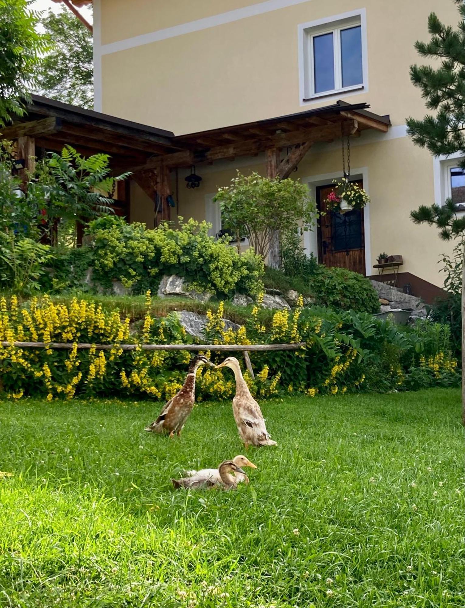 Appartement Heissgut à Altenmarkt im Pongau Extérieur photo